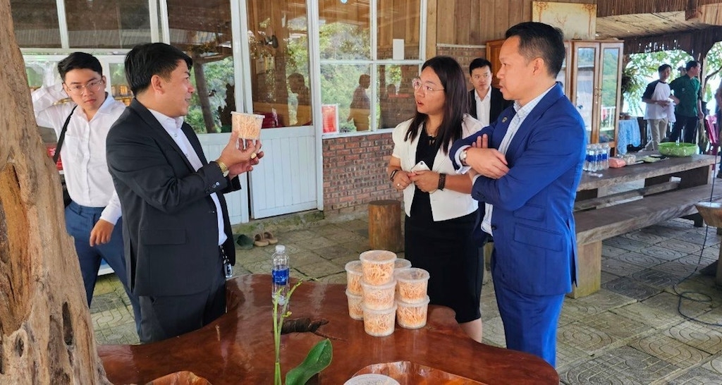 Việc tham gia vào chuỗi cung ứng nông sản bản địa chất lượng cao giúp thay đổi nếp nghĩ cách làm trong sản xuất nông nghiệp cho người dân xã Tr’Hy.