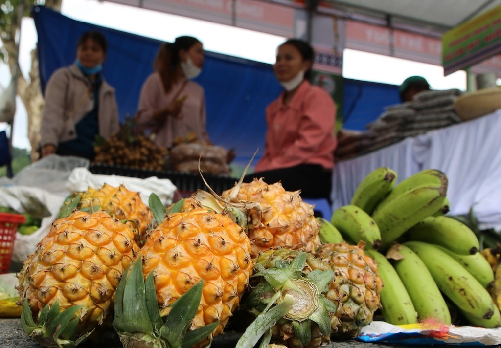 Các nông sản đặc trưng của Tr’Hy cần có hướng đi đúng theo chuỗi liên kết nhằm tạo động lực giúp người dân thoát nghèo.