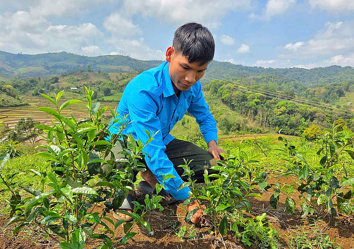 HTX Đông Trường Sơn hỗ trợ người dân phát triển kinh tế.