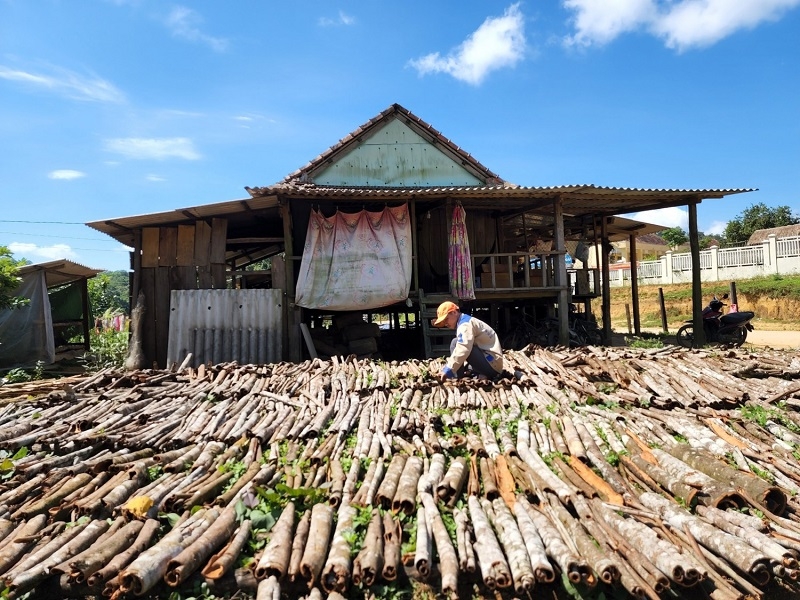 Một số tổ hợp tác, HTX tại địa phương