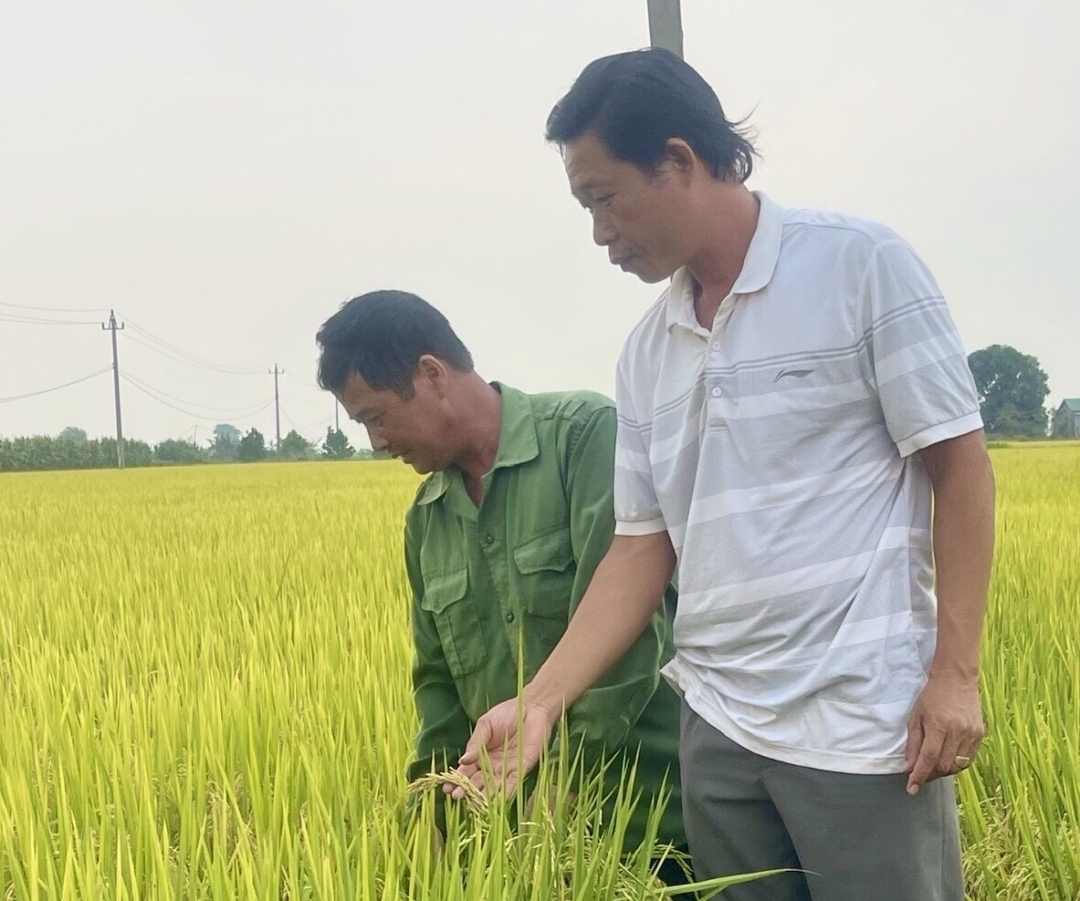 HTX Sản xuất và Kinh doanh Gạo Krông Ana đã chú trọng đến SHTT.