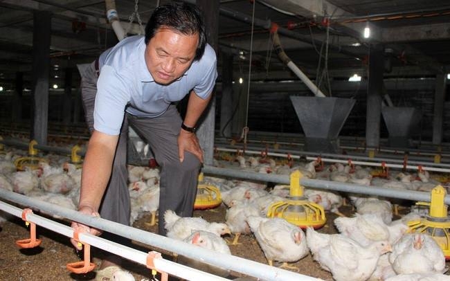 HTX Long Thành Phát tạo việc làm và thu nhập cho hàng trăm lao động.