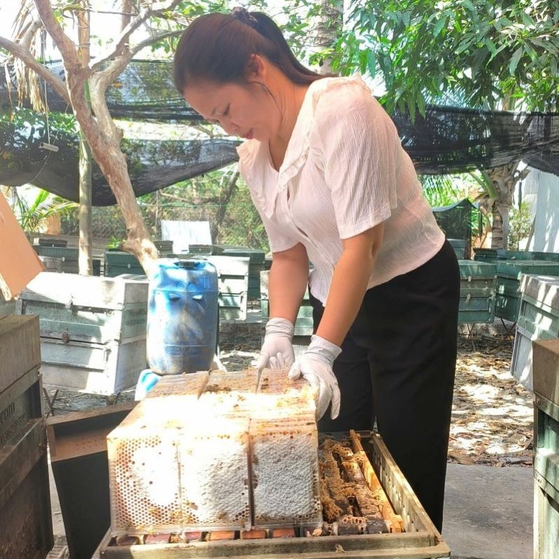 Nhiều HTX, tổ hợp tác trên địa bàn huyện Dầu Tiếng hoạt động hiệu quả, có hướng đi mới, phát triển ổn định.