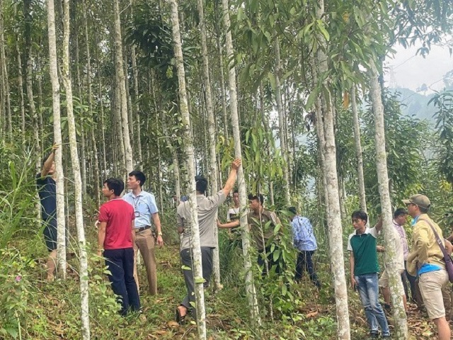 Các HTX đã góp phần giải quyết việc làm, nâng cao thu nhập của người dân.