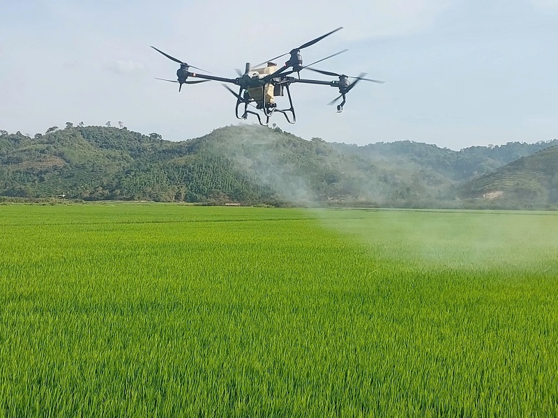 Để chuyển đổi xanh đi vào thực chất, các HTX, doanh nghiệp rất cần những chính sách phù hợp, may đo riêng để đảm bảo thành công.