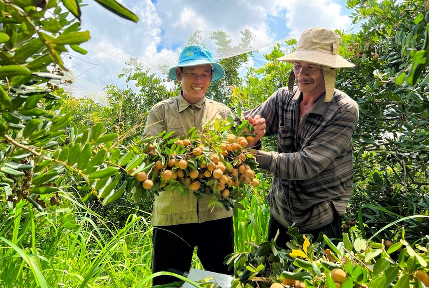 Các chính sách hỗ trợ HTX được tỉnh Bà Rịa-Vũng Tàu đã giúp các HTX có động lực đầu tư mở rộng quy mô hoạt động.