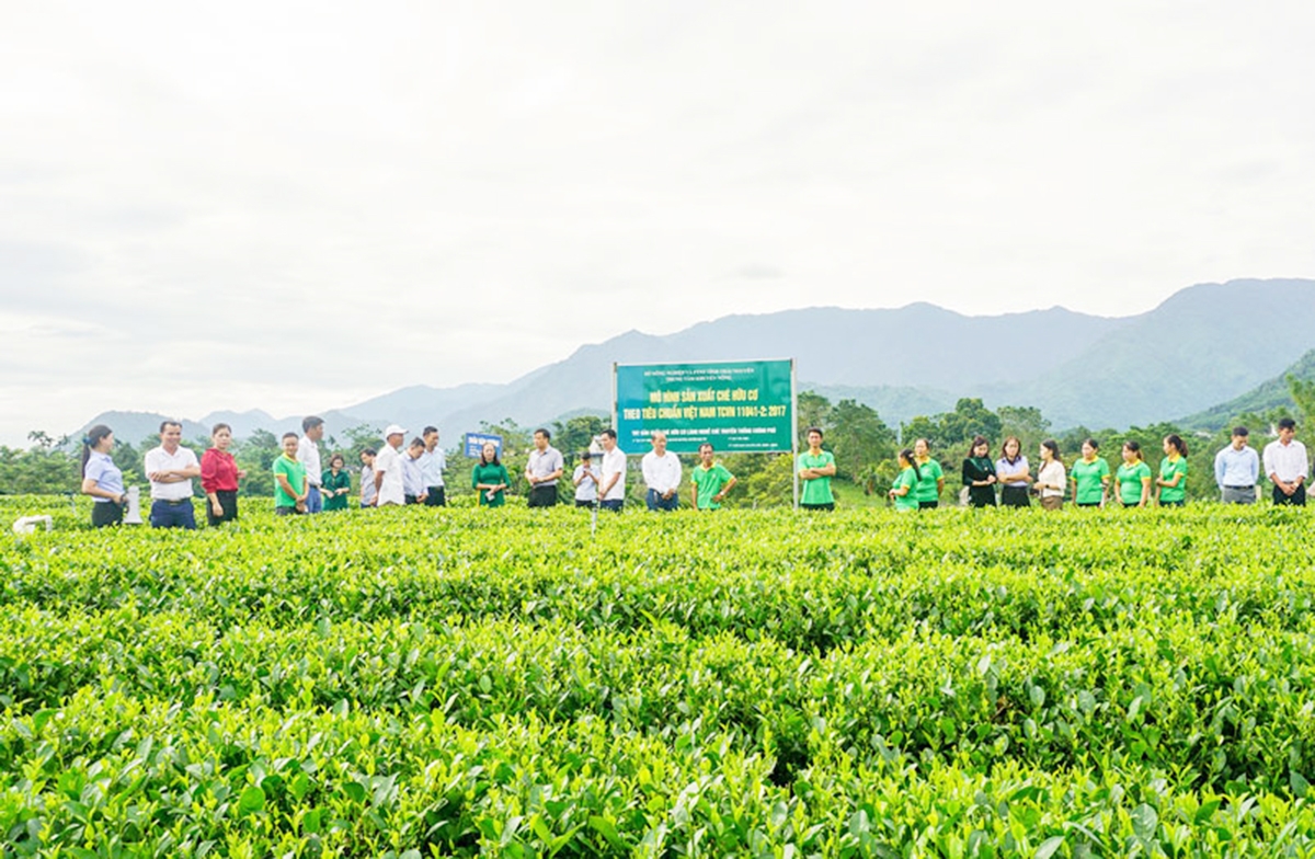 Nhiều HTX, nông dân ở Thái Nguyên đang thành công lớn nhờ đưa công nghệ mới vào sản xuất.