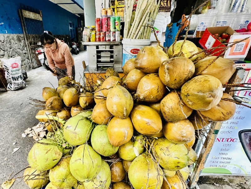 Dừa tươi tăng giá kỷ lục, lên 21.000-22.000 đồng/trái những ngày gần đây.