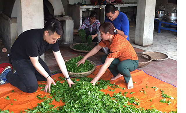 Thành viên HTX nông lâm nghiệp Bắc Sơn sơ chế nguyên liệu chè.