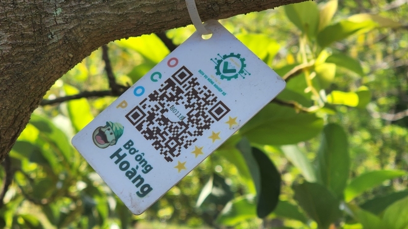 Bơ ông Hoàng của HTX nông nghiệp số Bình Phước đã được số hóa đến từng gốc cây.