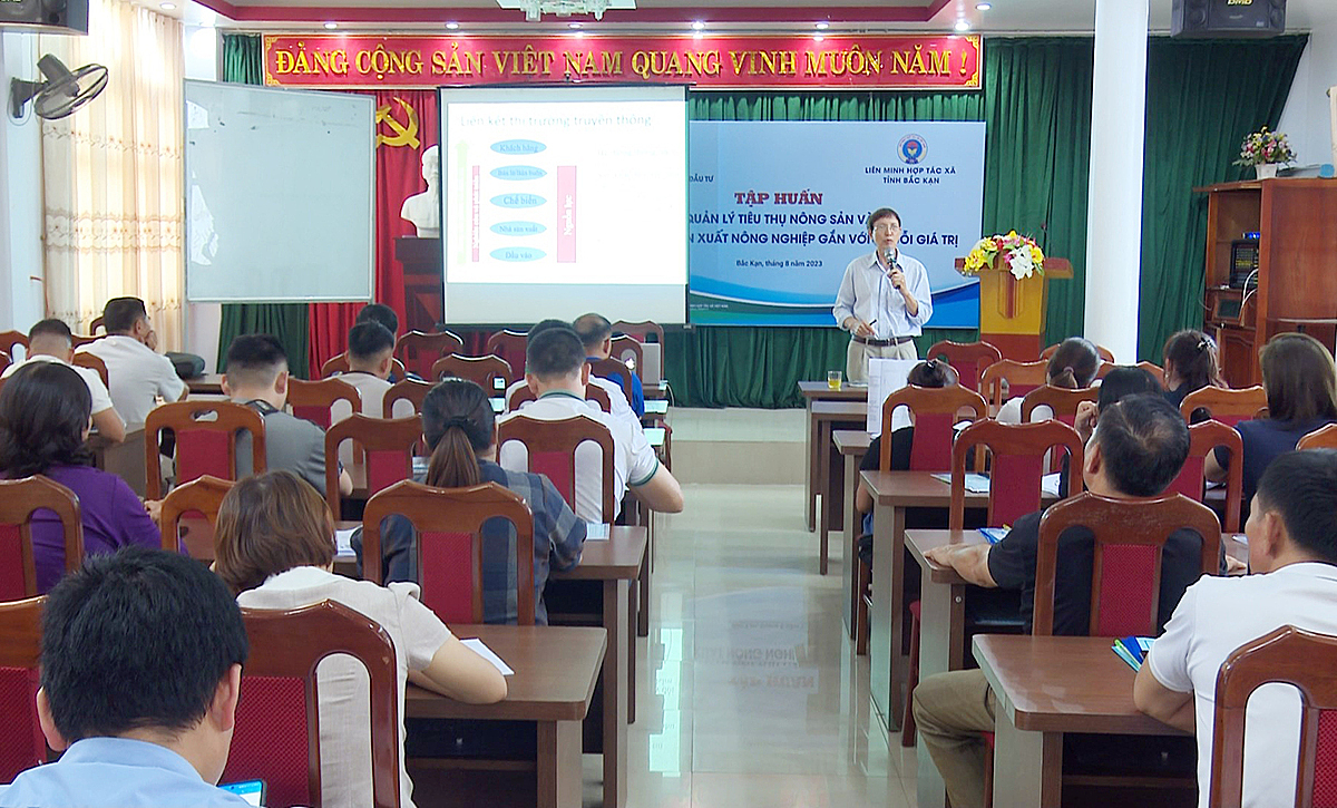 Lớp tập huấn về quản lý tiêu thụ nông sản, phát triển sản xuất do Liên minh HTX tỉnh phối hợp với Trung tâm Xúc tiến thương mại và Đầu tư của Liên minh HTX Việt Nam tổ chức.