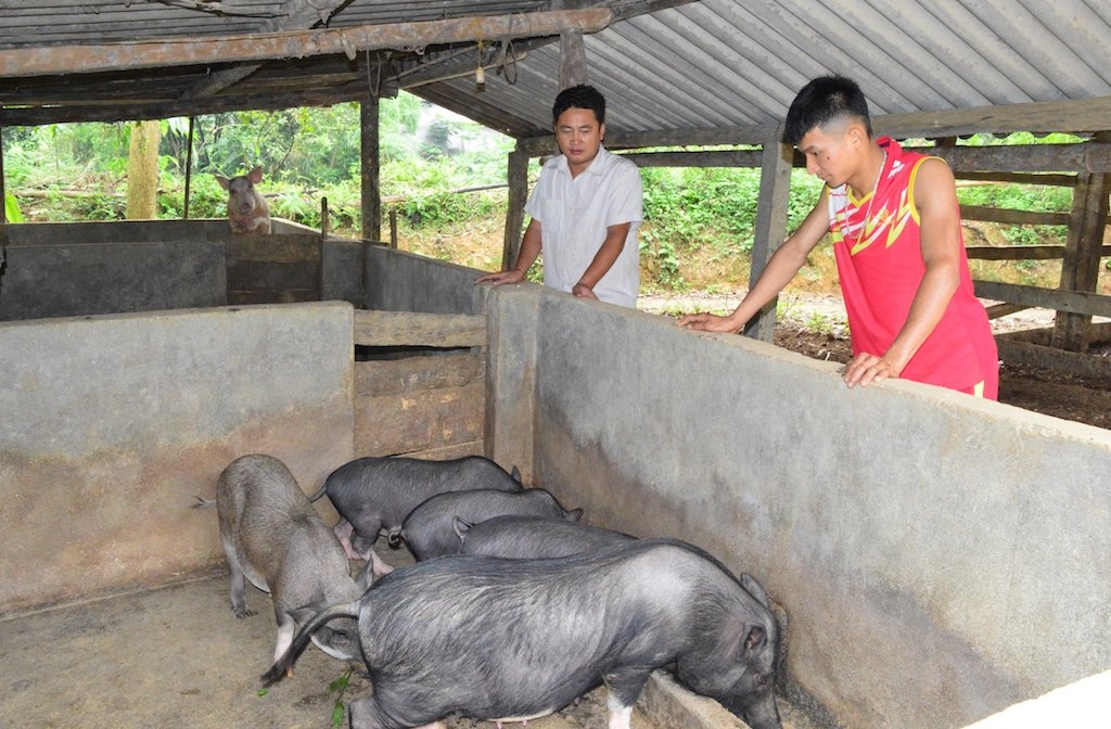 Câu chuyện phát triển kinh tế HTX đang truyền cảm hứng cho nhiều hộ dân ở xã Hướng Hiệp trong chăn nuôi để thoát nghèo bền vững.
