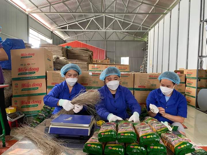 Thành viên HTX Tài Hoan đã tham gia các lớp đào tạo, tập huấn, góp phần nâng cao chất lượng sản phẩm.