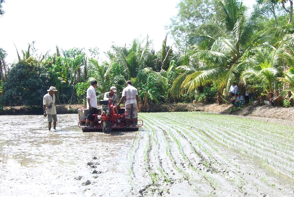Liên kết trong các HTX giúp nông dân có thêm nội lực ứng dụng khoa học kỹ thuật vào sản xuất.