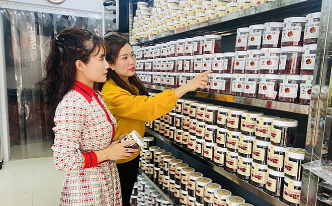 HTX Chế biến, kinh doanh tổng hợp Đoàn Lương được đánh giá là một trong những đơn vị tiên phong trong chuyển đổi số ở Yên Bái.