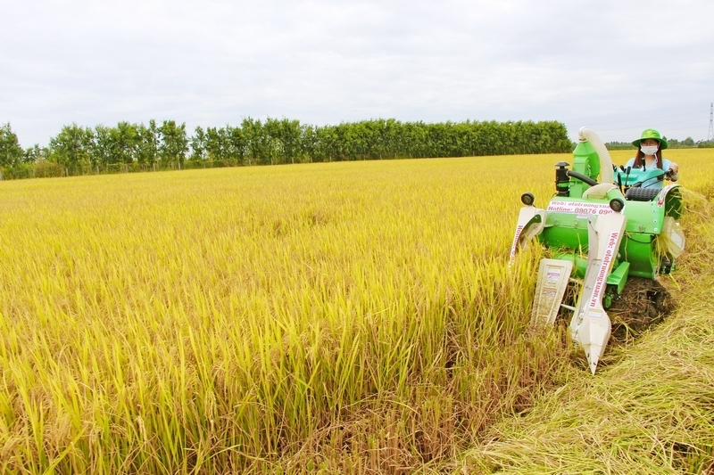 Các HTX nông nghiệp đã từng bước củng cố về tổ chức quản lý, đổi mới hoạt động gắn với lợi ích của thành viên và HTX