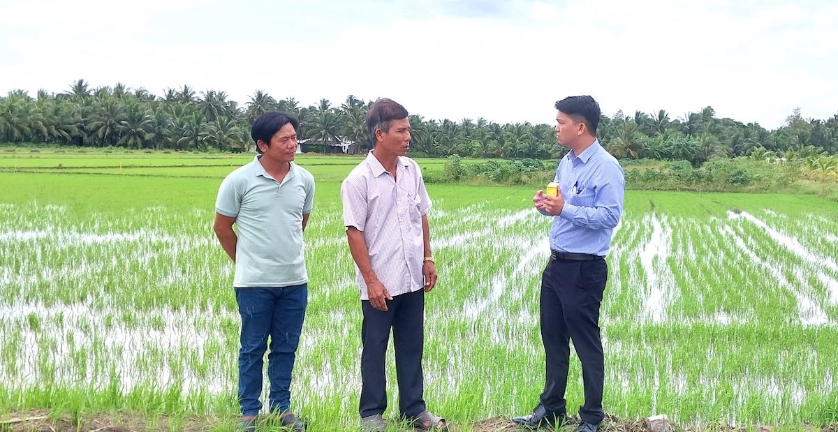 Mô hình thí điểm đề án 1 triệu ha lúa chất lượng cao, phát thải thấp được triển khai tại HTX nông nghiệp Phát Tài