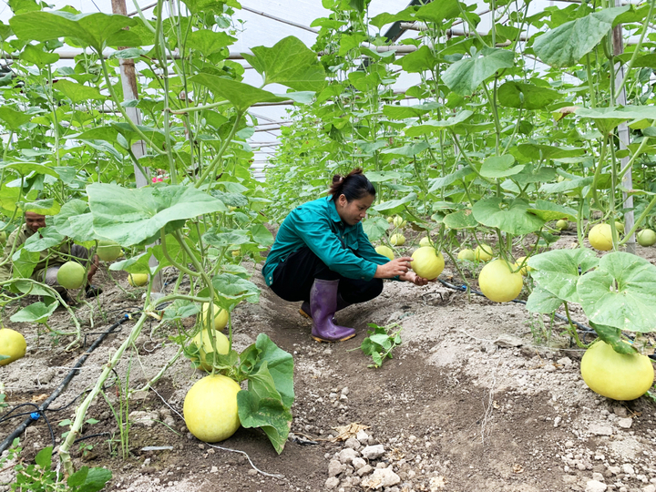 HTX Trường Anh ứng dụng khoa học công nghệ vào sản xuất.