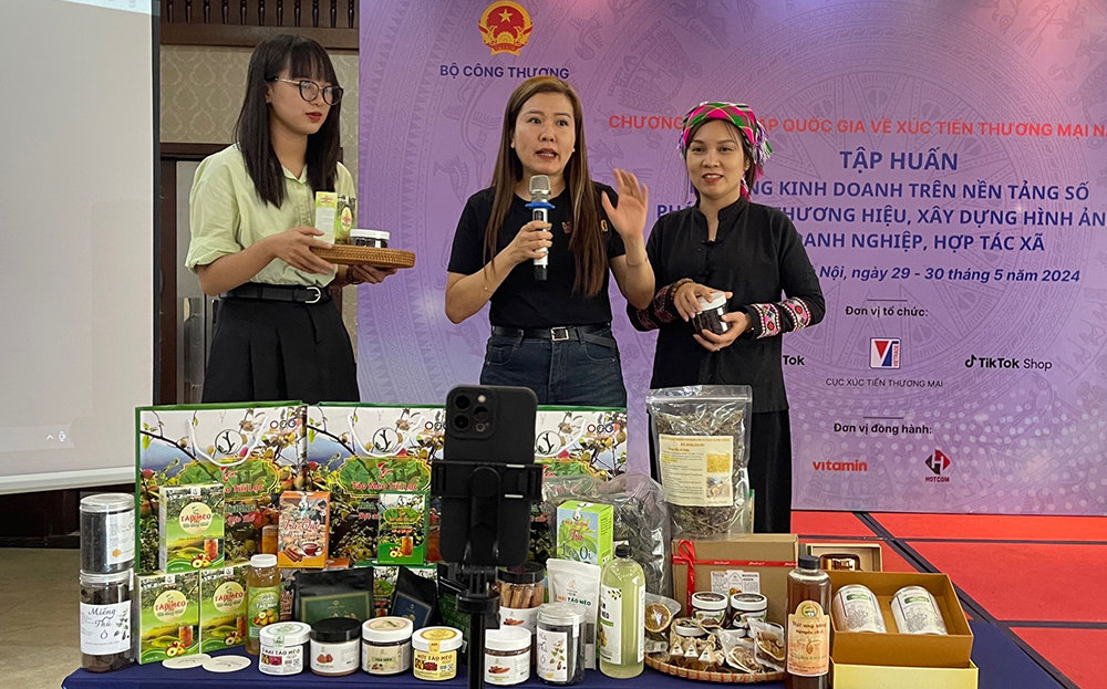 Một số HTX đã được tham gia các lớp đào tạo về chuyển đổi số.