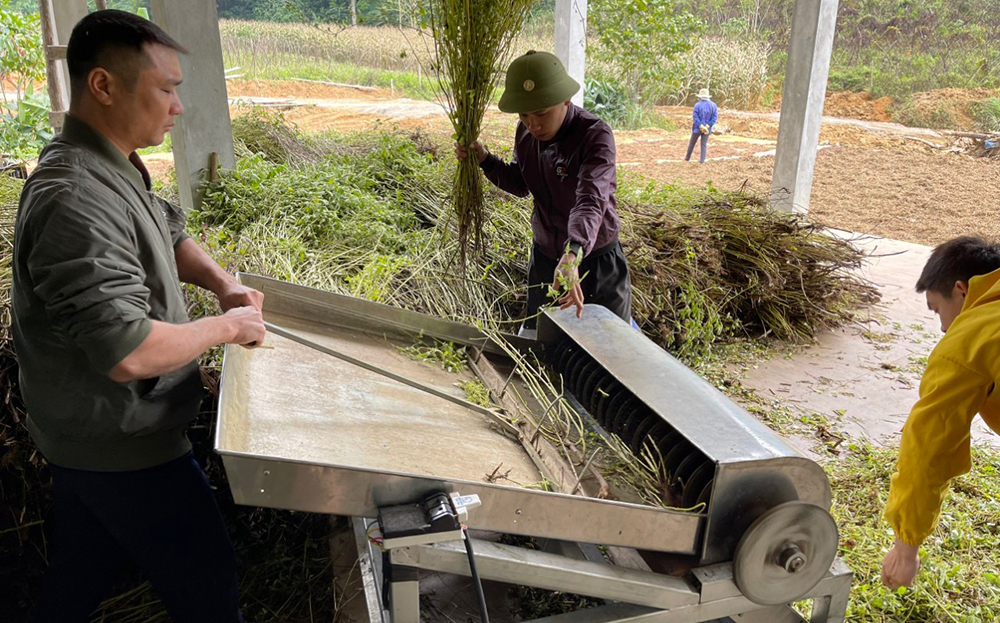 HTX Lũng Lô tạo công ăn việc làm cho người lao động với thu nhập gần 10 triệu đồng/người/tháng.