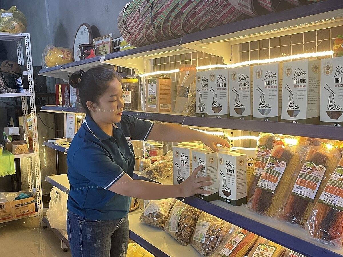 HTX Tố Mười phát triển chuỗi giá trị bún gạo, giúp thành viên và người dân nâng cao thu nhập.