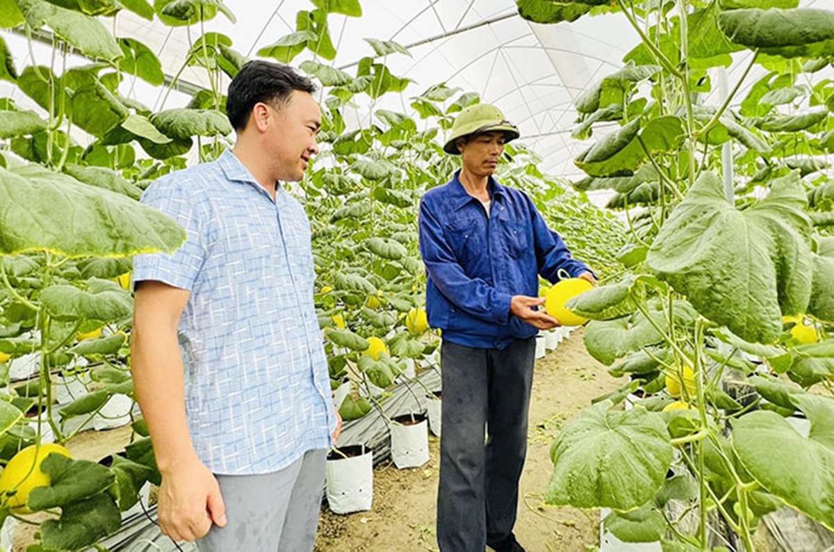 Hiện đại hóa trên các cánh đồng giúp nông dân, HTX ở Gia Lộc nâng cao thu nhập.