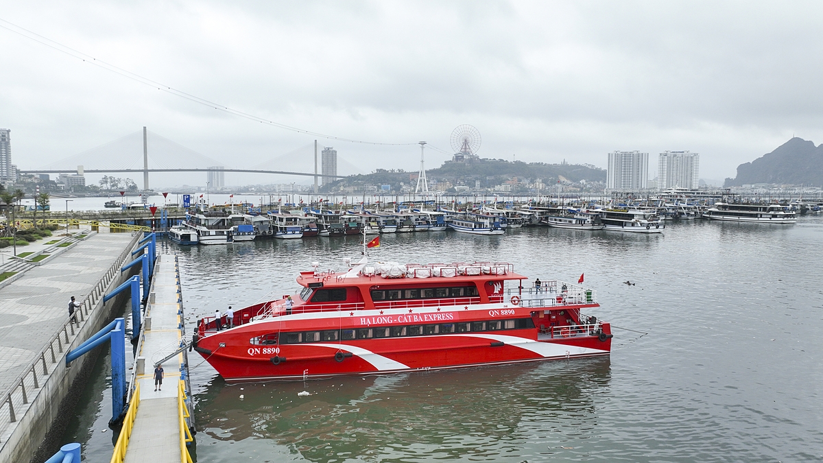 Dự kiến từ ngày 17/5, tuyến tàu cao tốc Hạ Long – Cát Bà xuất phát từ Cảng tàu khách quốc tế Hạ Long vận hành, rút ngắn thời gian di chuyển đến Cát Bà xuống còn chưa đầy một giờ.