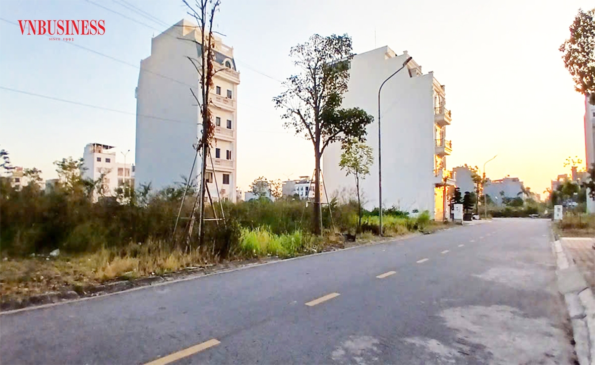 Đất đấu giá nhiều cơ hội nhưng cũng tiềm ẩn nhiều rủi ro.