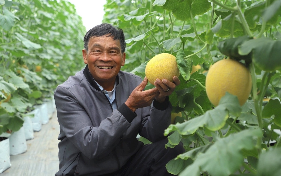 Các mô hình HTX sản xuất theo tiêu chuẩn VietGAP đã tiên phong trong công tác xóa đói, giảm nghèo.