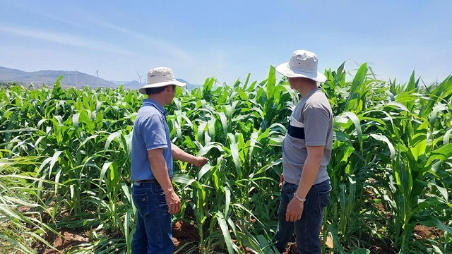 Gia Lai đặt mục tiêu năm 2025 giảm tỷ lệ hộ nghèo ở mức 2,02%.