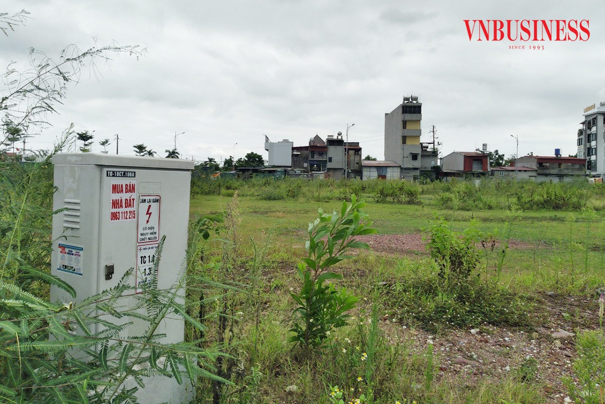 Không ít nhà đầu tư kỳ vọng dựa vào dòng vốn rẻ để kiếm lời từ nhà đất.