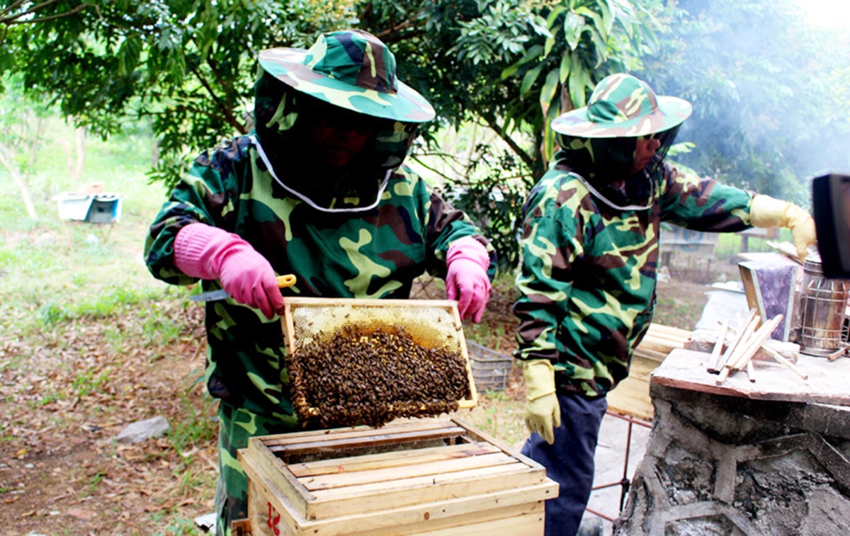 Các HTX khẳng định dấu ấn trong quá trình chuyển đổi nông nghiệp theo hướng hiện đại ở Quảng Ninh.