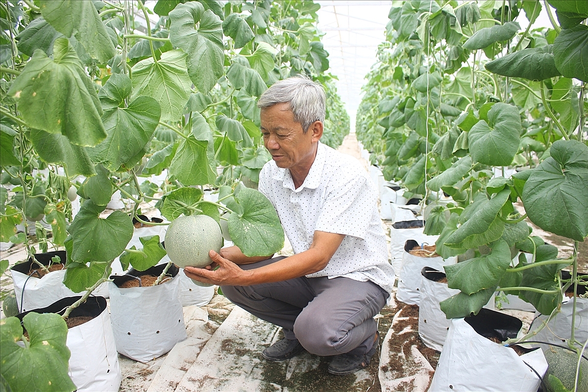 Người dân ứng dụng công nghệ vào sản xuất để nâng cao hiệu quả kinh tế.