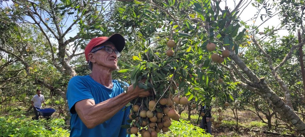 Sản xuất sạch, thích ứng với biến đổi khí hậu là định hướng phát triển bền vững của ngành nông nghiệp Bà Rịa - Vũng Tàu.