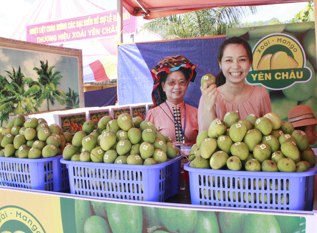 Xoài Yên Châu chủ yếu được bán tươi.