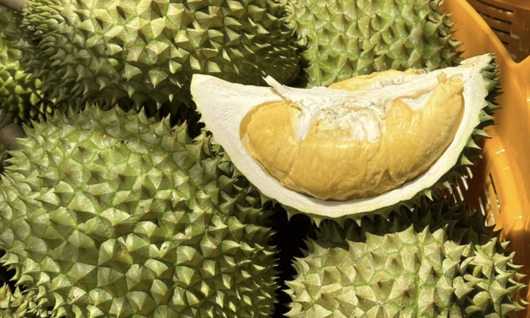 Xuất khẩu sầu riêng Việt Nam giảm sâu, cần giải pháp cấp bách