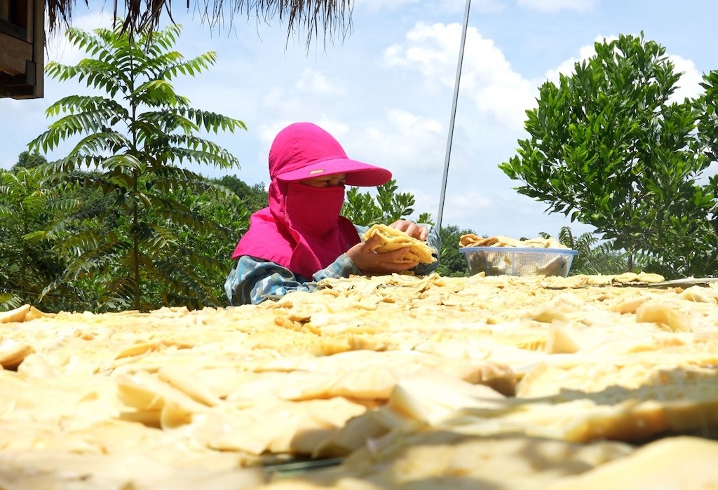 HTX Nông nghiệp La Dêê giúp tạo thu nhập ổn định cho bà con dân tộc thiểu số ở La Dêê.