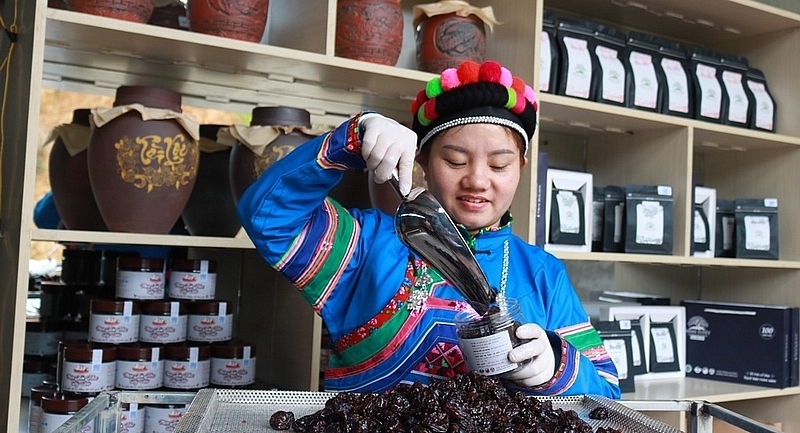 Kinh tế HTX đóng góp quan trọng vào việc xây dựng thành công các vùng chè, chuối, quế, dược liệu, gạo Séng cù cùng nhiều sản phẩm nông lâm sản có giá trị khác.