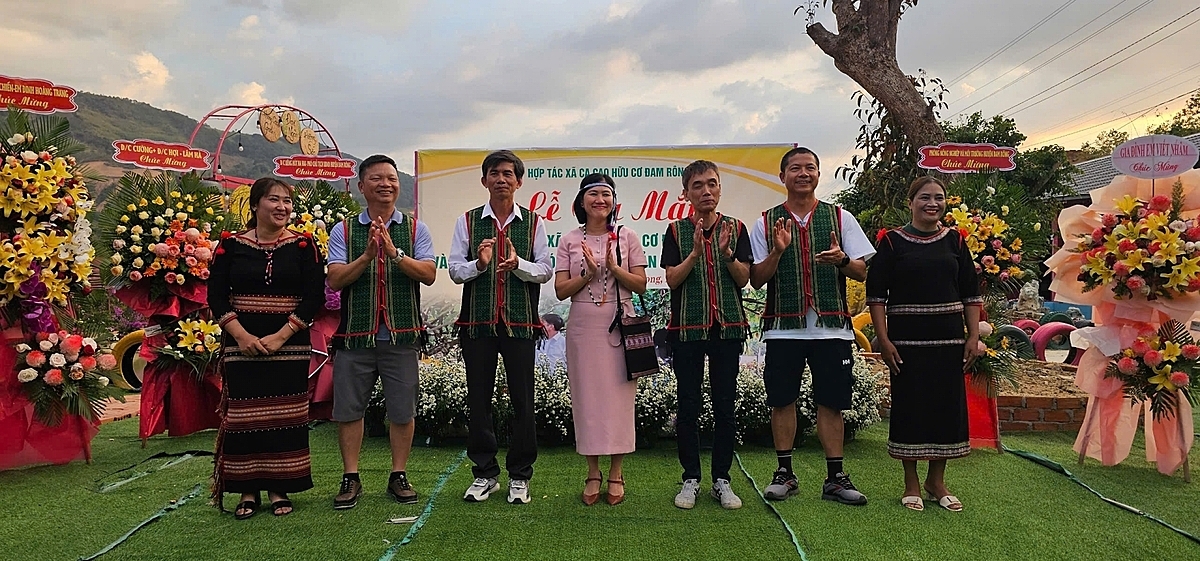 HTX Ca cao hữu cơ Đam Rông được thành lập với mục tiêu sản xuất, sơ chế biến các sản phẩm từ hạt ca cao, tạo công ăn việc làm cho người dân ở huyện Đam Rông. Ảnh BLĐ