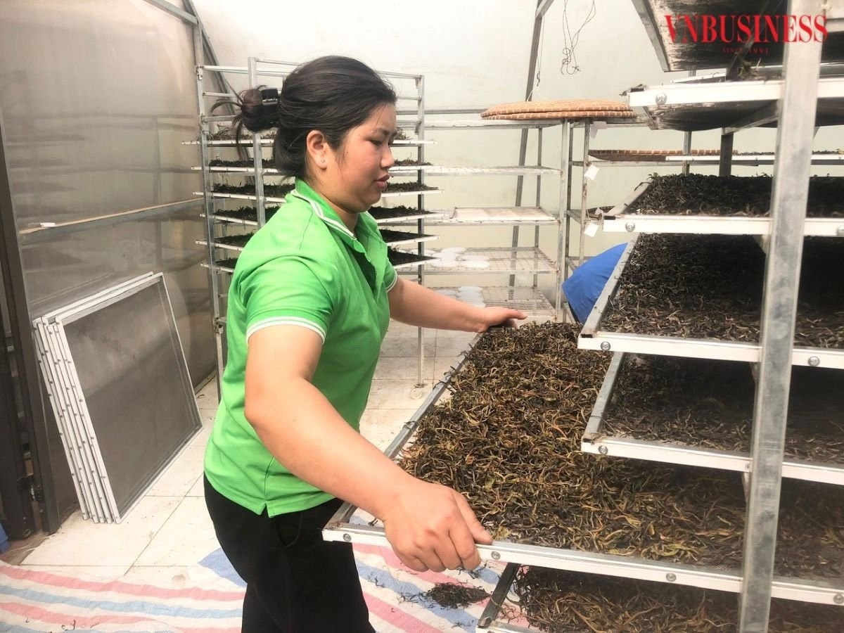 HTX Quang Tom giúp nâng cao giá trị kinh tế cho nông sản địa phương.