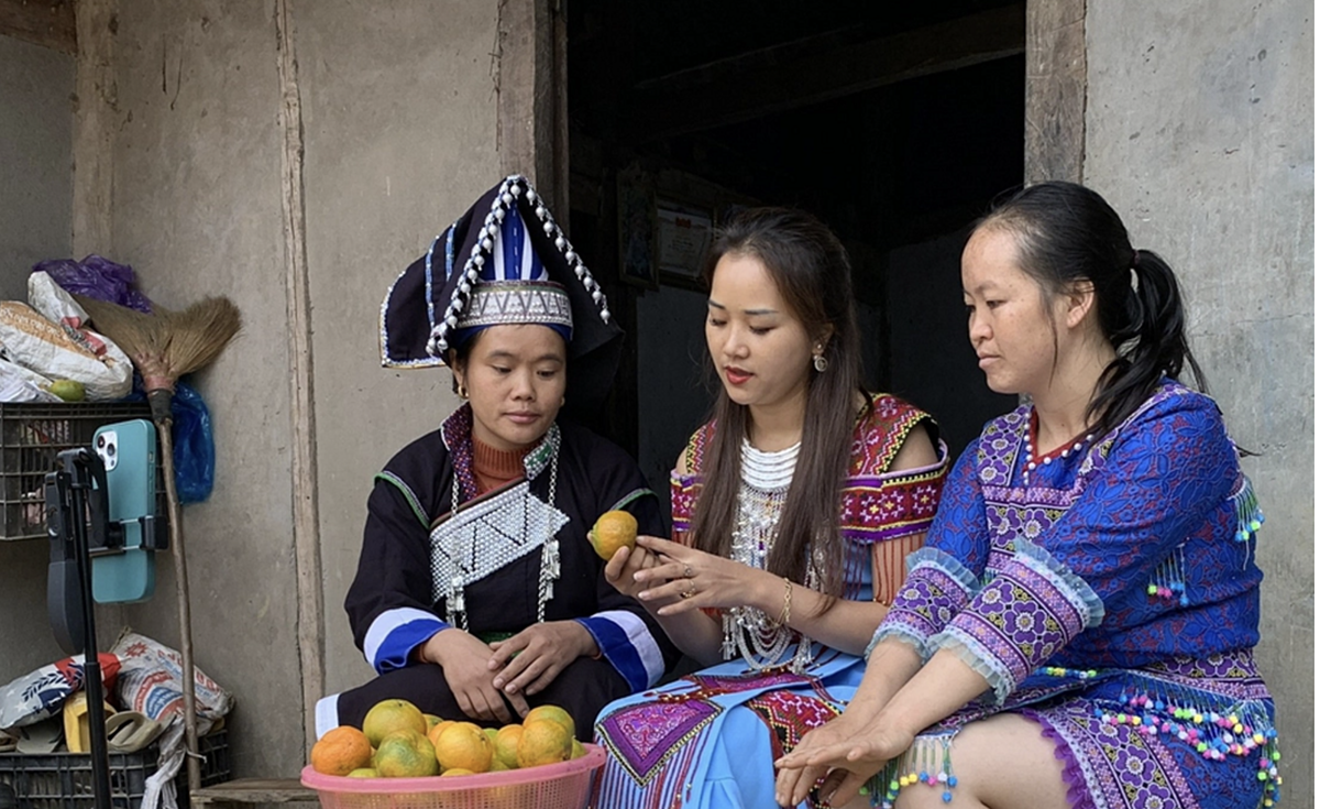 Ma Thị Chú thường xuyên livestream để bán hàng trực tiếp luôn tại vườn, tiêu thụ hiệu quả các mặt hàng nông sản như quýt, mận...