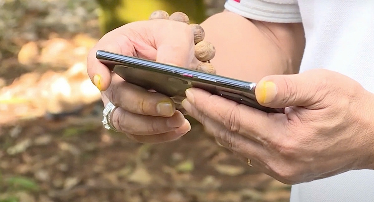 Cơ hội hoá rồng cho HTX nằm gọn trong lòng bàn tay.