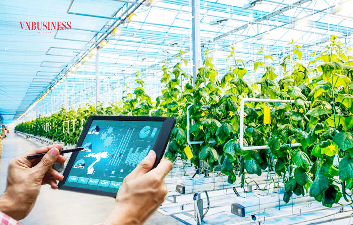 Nhiều HTX đã ứng dụng Ai vào sản xuất, kinh doanh, nâng cao năng suất, tối ưu hoá chi phí.