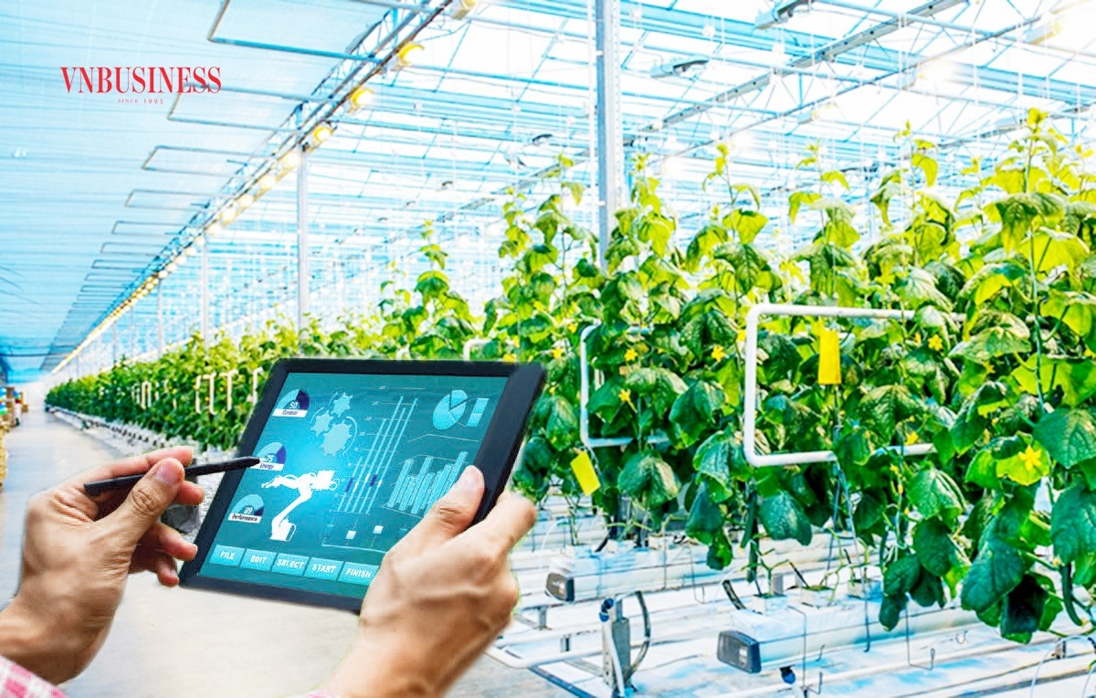 Nhiều HTX đã ứng dụng Ai vào sản xuất, kinh doanh, nâng cao năng suất, tối ưu hoá chi phí.