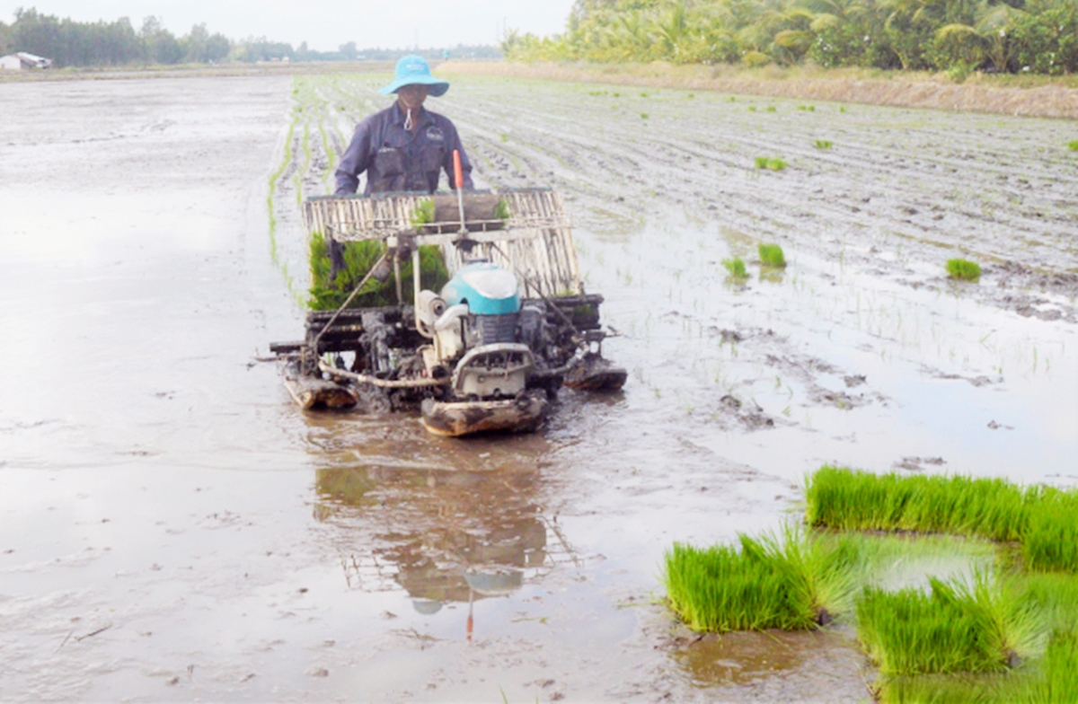 Nông nghiệp huyện Tân Hiệp đang chuyển đổi theo hướng hiện đại, tăng khoa học công nghệ.