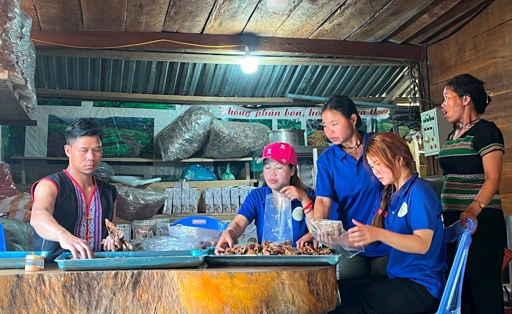 Từ “điểm tựa” HTX, bà con dân tộc thiểu số xã Ga Ry đang dần quen với sản xuất nông nghiệp hàng hóa.