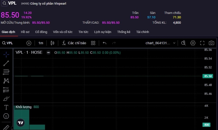 Cổ đông ôm hàng cố thủ, bên bán VPL ‘trống trơn’ suốt cả phiên giao dịch