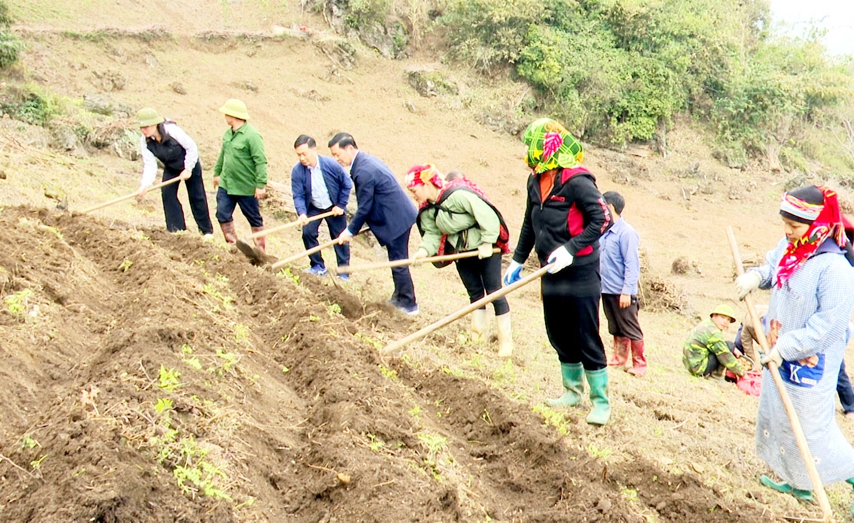 Những cây trồng thế mạnh đang xóa đói giảm nghèo ở Bắc Mê.