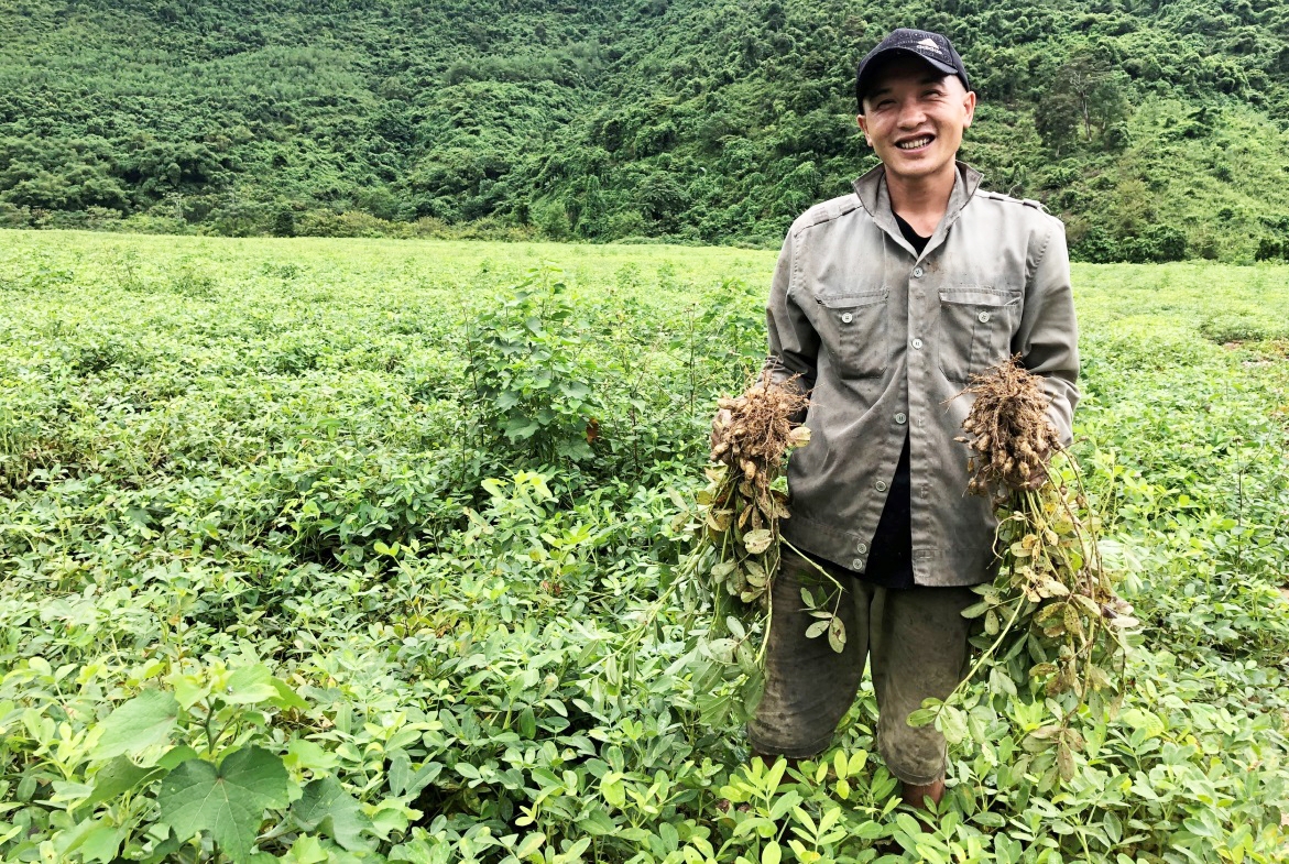 Thành công trong chuyển đổi cây trồng đang đem lại niềm vui lớn cho đồng bào dân tộc thiểu số huyện Tương Dương.