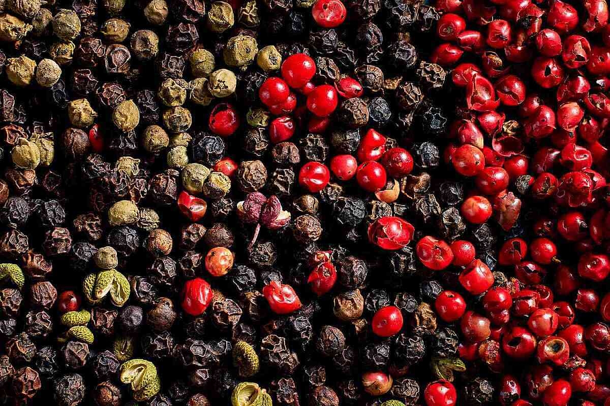 Giá tiêu giữ ổn định ở các vùng trồng.